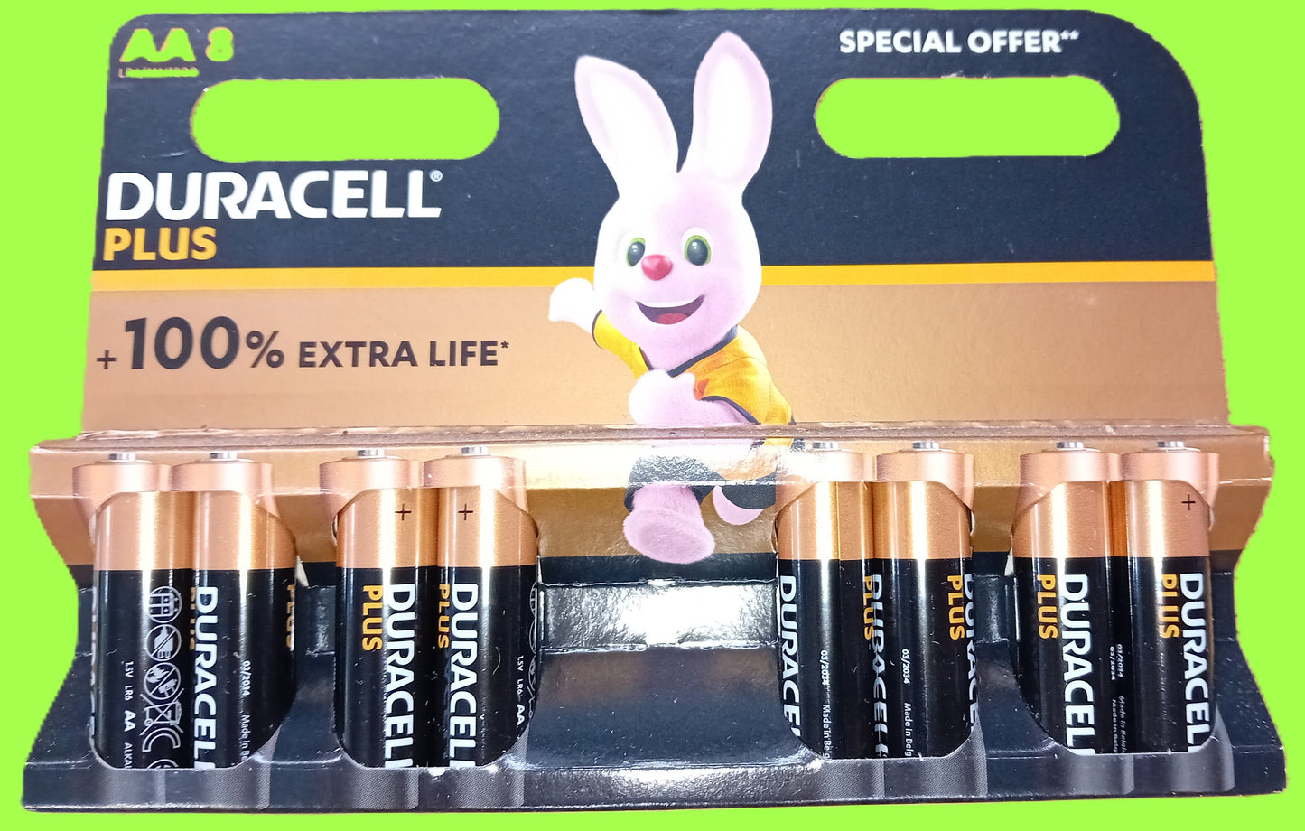Duracell Plus AA Batteries